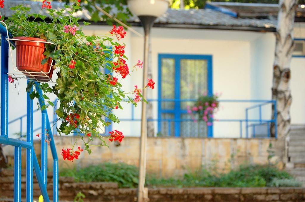 Комплекс Белите Къщи Shtarkelovo Gnezdo Экстерьер фото