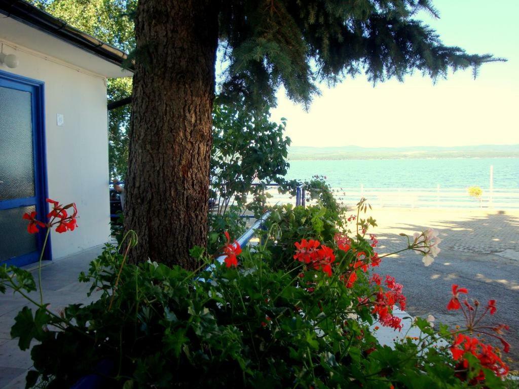 Комплекс Белите Къщи Shtarkelovo Gnezdo Экстерьер фото