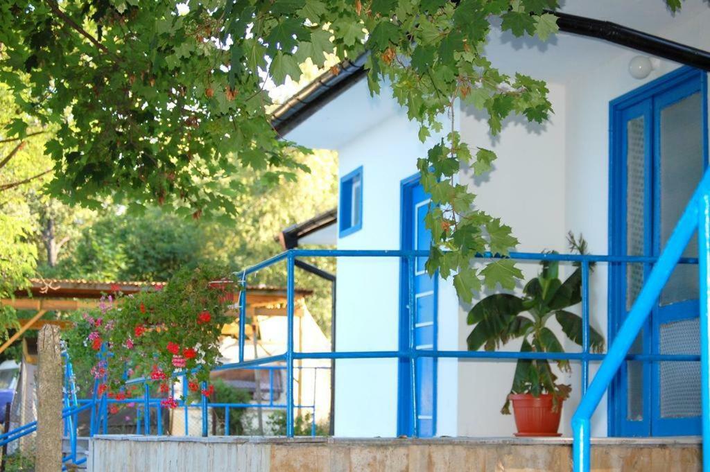 Комплекс Белите Къщи Shtarkelovo Gnezdo Экстерьер фото