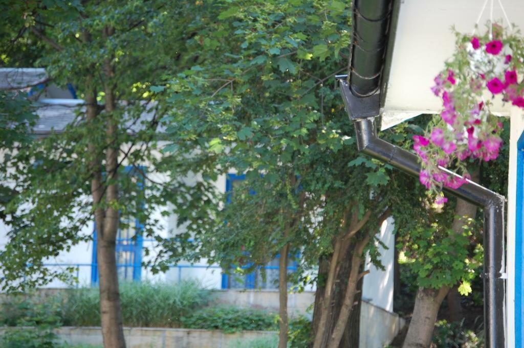 Комплекс Белите Къщи Shtarkelovo Gnezdo Экстерьер фото